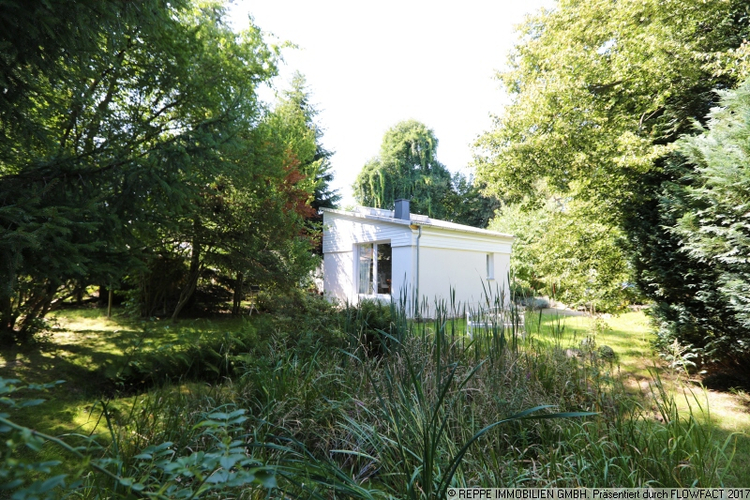 Blick über den Gartenteich