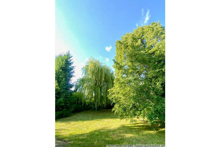 Blick in den Garten