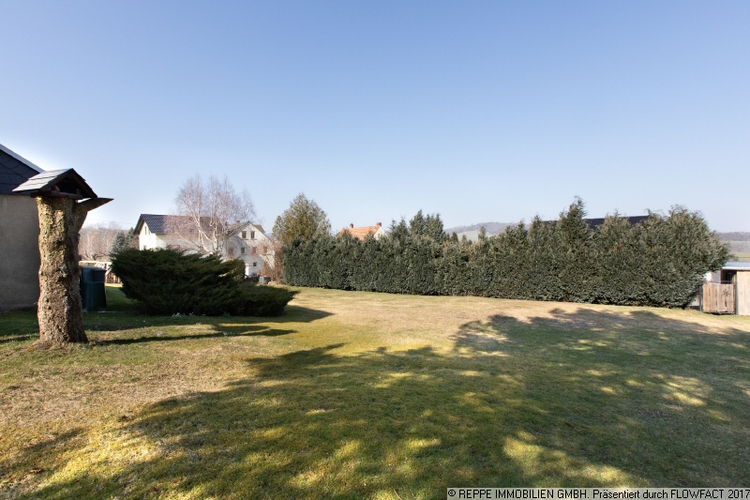 Blick in Garten