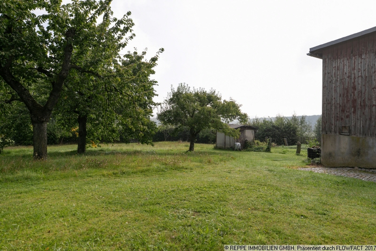 Blick auf das Wiesengrundstück