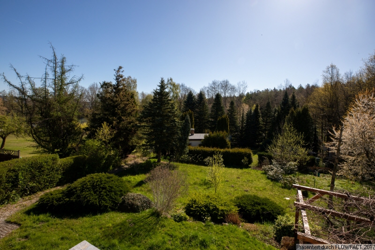 Blick in den Garten