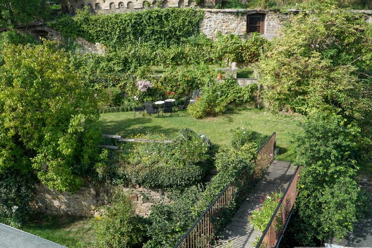 Blick in den Garten